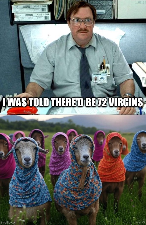 I WAS TOLD THERE'D BE 72 VIRGINS | image tagged in memes,i was told there would be | made w/ Imgflip meme maker