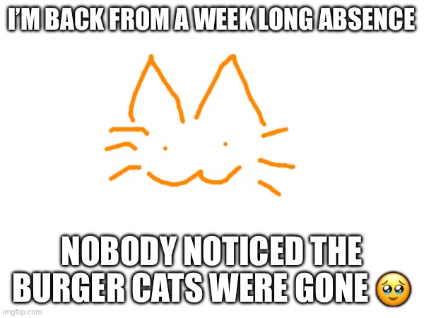 I’M BACK FROM A WEEK LONG ABSENCE; NOBODY NOTICED THE BURGER CATS WERE GONE 🥹 | made w/ Imgflip meme maker
