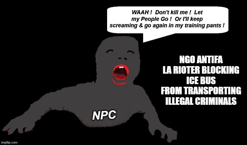 La Riots against ICE | NGO ANTIFA LA RIOTER BLOCKING ICE BUS FROM TRANSPORTING ILLEGAL CRIMINALS | made w/ Imgflip meme maker