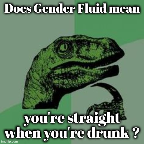 Time raptor  | Does Gender Fluid mean you're straight when you're drunk ? | image tagged in time raptor | made w/ Imgflip meme maker