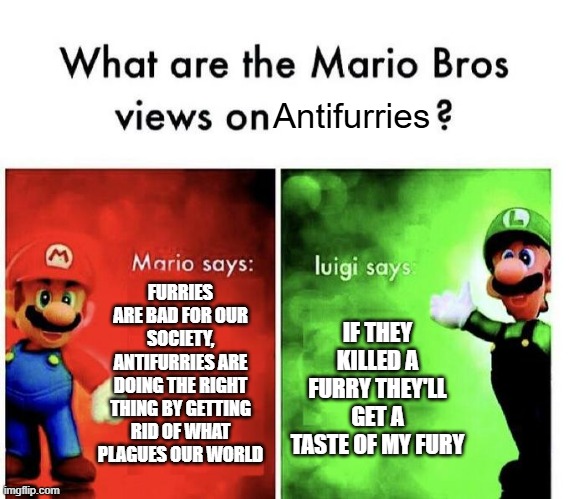 furry meme | Antifurries; FURRIES ARE BAD FOR OUR SOCIETY, ANTIFURRIES ARE DOING THE RIGHT THING BY GETTING RID OF WHAT PLAGUES OUR WORLD; IF THEY KILLED A FURRY THEY'LL GET A TASTE OF MY FURY | image tagged in mario bros views,furry | made w/ Imgflip meme maker