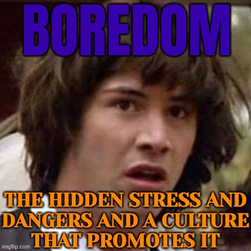 Boredom; The Hidden Stress And Dangers And A Culture That Promotes It | BOREDOM; THE HIDDEN STRESS AND
DANGERS AND A CULTURE
THAT PROMOTES IT | image tagged in whoa,boredom,im bored,excited vs bored,life sucks,i don't want to live on this planet anymore | made w/ Imgflip meme maker