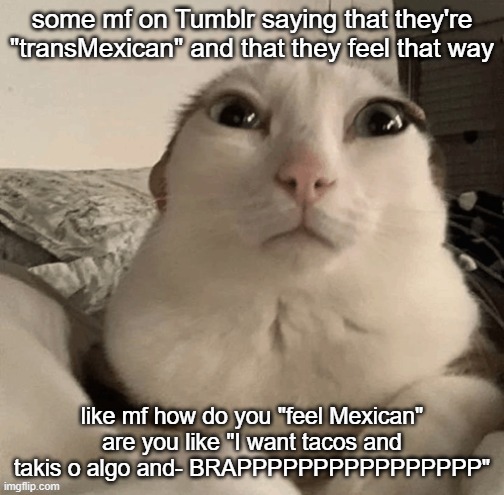 goober | some mf on Tumblr saying that they're "transMexican" and that they feel that way; like mf how do you "feel Mexican" are you like "I want tacos and takis o algo and- BRAPPPPPPPPPPPPPPPP" | image tagged in goober | made w/ Imgflip meme maker