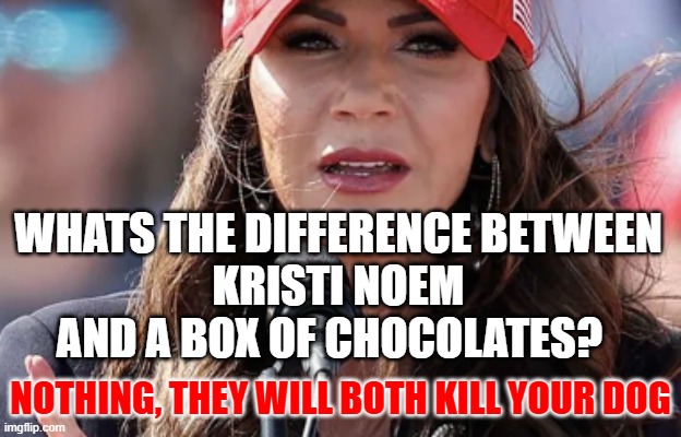 Box of Chocolates and Noem | WHATS THE DIFFERENCE BETWEEN 
KRISTI NOEM 
AND A BOX OF CHOCOLATES? NOTHING, THEY WILL BOTH KILL YOUR DOG | image tagged in puppy killer noem the minda | made w/ Imgflip meme maker