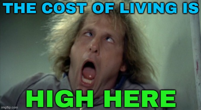 The Cost Of Living Is High Here | THE COST OF LIVING IS; HIGH HERE | image tagged in memes,scary harry,life sucks,inflation,taxation is theft,evil government | made w/ Imgflip meme maker