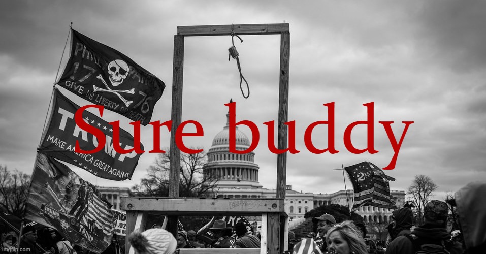 Capitol Hill riot gallows | Sure buddy | image tagged in capitol hill riot gallows | made w/ Imgflip meme maker