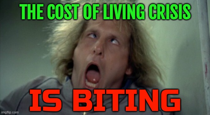 The Cost Of Living Crisis Is Biting | THE COST OF LIVING CRISIS; IS BITING | image tagged in memes,scary harry,crisis,income inequality,communism and capitalism,life sucks | made w/ Imgflip meme maker