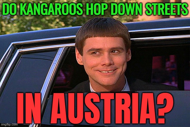Do Kangaroos Hop Down Streets In Austria? | DO KANGAROOS HOP DOWN STREETS; IN AUSTRIA? | image tagged in lloyd christmas limo,australia,austria,scumbag hollywood,stupid people,i'm the dumbest man alive | made w/ Imgflip meme maker