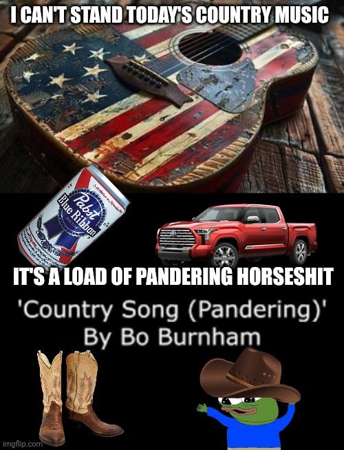 country music memes | I CAN'T STAND TODAY'S COUNTRY MUSIC; IT'S A LOAD OF PANDERING HORSESHIT | image tagged in garbage | made w/ Imgflip meme maker