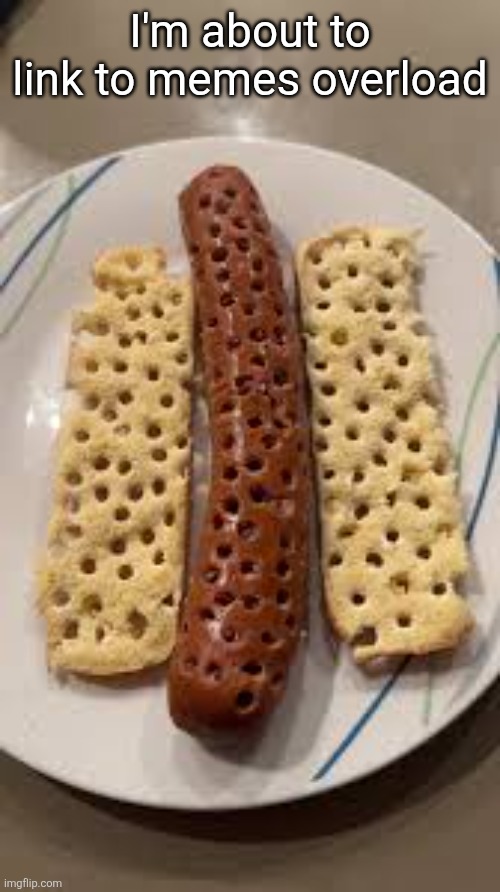 Hotdog | I'm about to link to memes overload | image tagged in hotdog | made w/ Imgflip meme maker