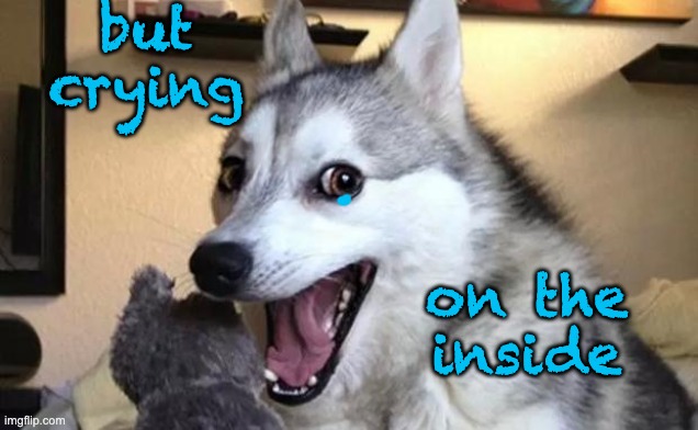 Pun dog - husky | but crying on the
inside | image tagged in pun dog - husky | made w/ Imgflip meme maker