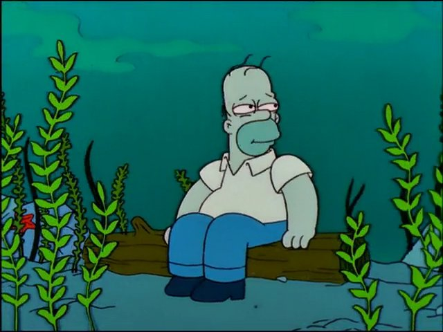 Homer Simpson Underwater Blank Meme Template