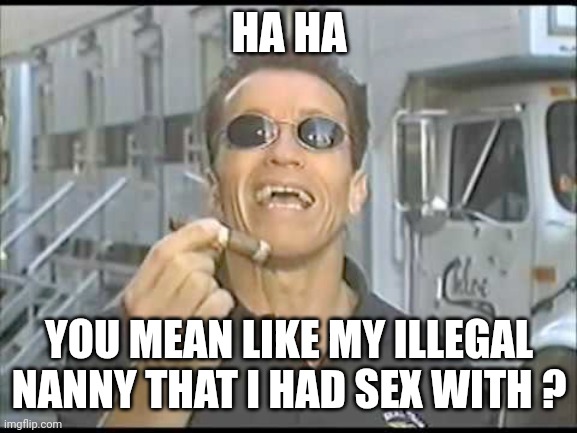 Arnold Ballsy | HA HA YOU MEAN LIKE MY ILLEGAL NANNY THAT I HAD SEX WITH ? | image tagged in arnold ballsy | made w/ Imgflip meme maker
