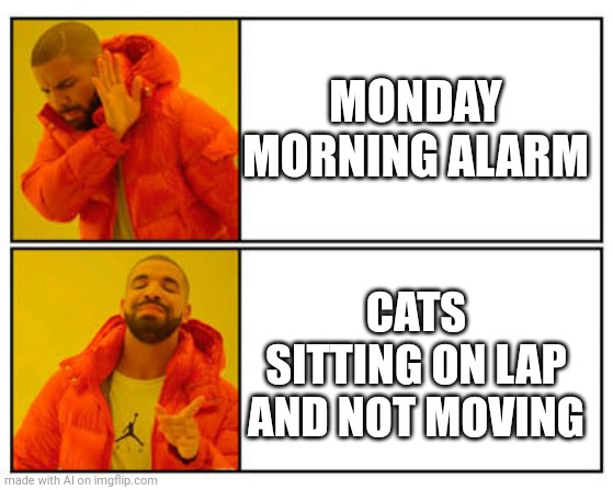 Cats these days... | MONDAY MORNING ALARM; CATS SITTING ON LAP AND NOT MOVING | image tagged in no - yes | made w/ Imgflip meme maker