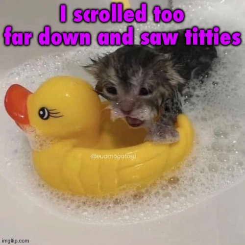 This isn’t the stream for that | I scrolled too far down and saw titties | image tagged in watr | made w/ Imgflip meme maker