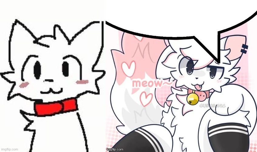 image tagged in silly cat,femboy boykisser speech bubble | made w/ Imgflip meme maker