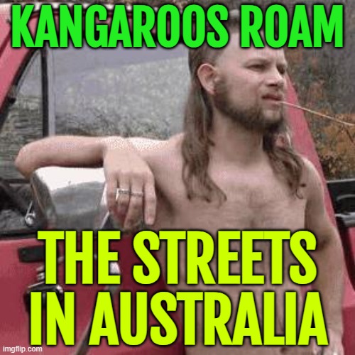 Kangaroos Roam The Streets In Australia | KANGAROOS ROAM; THE STREETS
IN AUSTRALIA | image tagged in almost redneck,australia,ignorant,redneck hillbilly,'murica,kangaroo | made w/ Imgflip meme maker