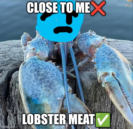 Lobster meat | CLOSE TO ME❌; LOBSTER MEAT✅ | image tagged in the blue lobster | made w/ Imgflip meme maker