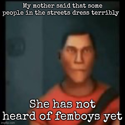 Disappointed Scout | My mother said that some people in the streets dress terribly; She has not heard of femboys yet | image tagged in disappointed scout,msmg | made w/ Imgflip meme maker