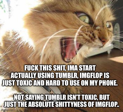 Add me @starshine-10 | FUCK THIS SHIT, IMA START ACTUALLY USING TUMBLR, IMGFLOP IS JUST TOXIC AND HARD TO USE ON MY PHONE. NOT SAYING TUMBLR ISN'T TOXIC, BUT JUST THE ABSOLUTE SHITTYNESS OF IMGFLOP.. | image tagged in angry cat | made w/ Imgflip meme maker