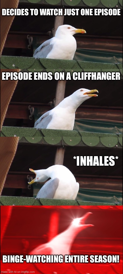 Binge watching | DECIDES TO WATCH JUST ONE EPISODE; EPISODE ENDS ON A CLIFFHANGER; *INHALES*; BINGE-WATCHING ENTIRE SEASON! | image tagged in memes,inhaling seagull | made w/ Imgflip meme maker