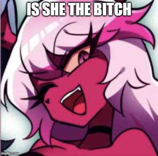 pink bitch | IS SHE THE BITCH | image tagged in pink bitch | made w/ Imgflip meme maker