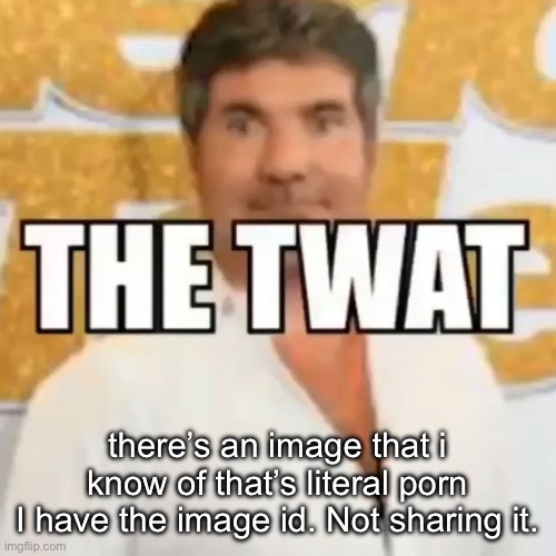 the twat | there’s an image that i know of that’s literal porn
I have the image id. Not sharing it. | image tagged in the twat | made w/ Imgflip meme maker