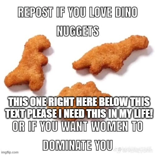 repost if you love dino nuggets | THIS ONE RIGHT HERE BELOW THIS TEXT PLEASE I NEED THIS IN MY LIFE! | image tagged in repost if you love dino nuggets | made w/ Imgflip meme maker