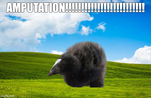 Windows desktop | AMPUTATION!!!!!!!!!!!!!!!!!!!!!!!!! | image tagged in windows desktop | made w/ Imgflip meme maker