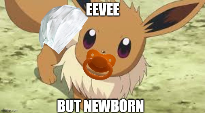 Baby Eevee - Her parents must have been so glad to give birth to her | EEVEE; BUT NEWBORN | image tagged in eevee,pokemon | made w/ Imgflip meme maker