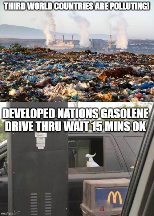 third world vs developed nations ? | THIRD WORLD COUNTRIES ARE POLLUTING! DEVELOPED NATIONS GASOLENE DRIVE THRU WAIT 15 MINS OK | image tagged in pollution global warming climate change environment,can i get uhhh | made w/ Imgflip meme maker