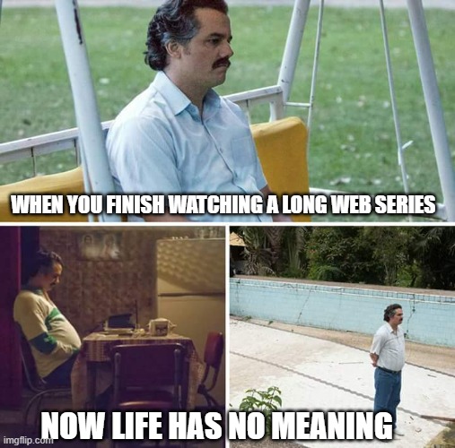 Sad Pablo Escobar Meme | WHEN YOU FINISH WATCHING A LONG WEB SERIES; NOW LIFE HAS NO MEANING | image tagged in memes,sad pablo escobar | made w/ Imgflip meme maker