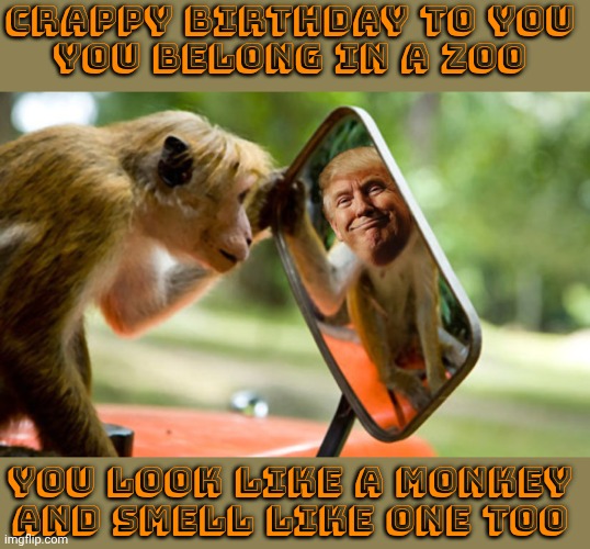 He lives rent free in his own head. | Crappy birthday to you 
You belong in a zoo; You look like a monkey 
And smell like one too | image tagged in trump monkey mirror,selfishness,holiday,arrogant rich man,malignant narcissist,waste of money | made w/ Imgflip meme maker