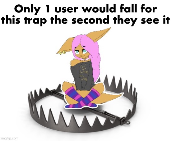 We ALL know who it is | Only 1 user would fall for this trap the second they see it | image tagged in msmg,smiles | made w/ Imgflip meme maker