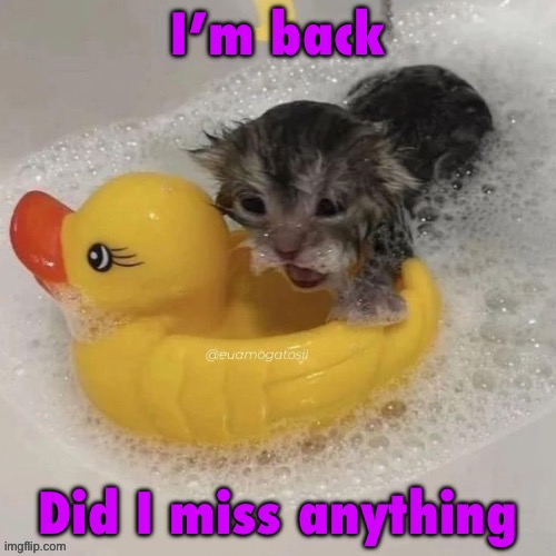 Watr | I’m back; Did I miss anything | image tagged in watr | made w/ Imgflip meme maker