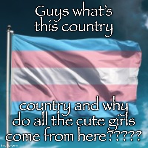 Hmmmmm | Guys what’s this country; country and why do all the cute girls come from here????? | image tagged in trans flag | made w/ Imgflip meme maker