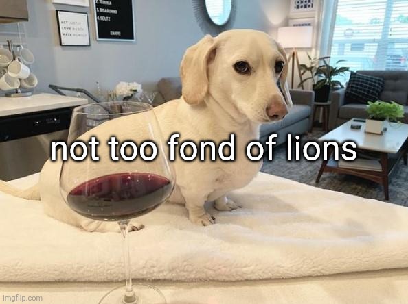 Homophobic Dog | not too fond of lions | image tagged in homophobic dog | made w/ Imgflip meme maker