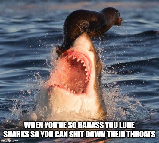 Badass | WHEN YOU'RE SO BADASS YOU LURE SHARKS SO YOU CAN SHIT DOWN THEIR THROATS | image tagged in memes,travelonshark | made w/ Imgflip meme maker
