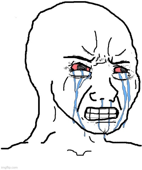 image tagged in crying wojack | made w/ Imgflip meme maker