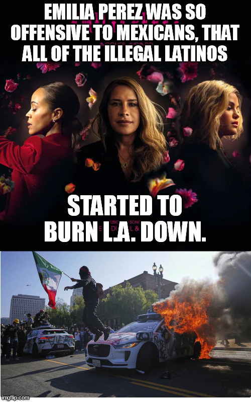 The true reason for the L.A. riots. | EMILIA PEREZ WAS SO OFFENSIVE TO MEXICANS, THAT ALL OF THE ILLEGAL LATINOS; STARTED TO BURN L.A. DOWN. | image tagged in emilia perez,la riots paid protestor,los angeles,riots,memes,funny | made w/ Imgflip meme maker