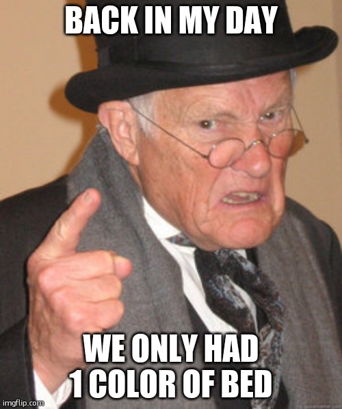 Back In My Day | BACK IN MY DAY; WE ONLY HAD 1 COLOR OF BED | image tagged in memes,back in my day | made w/ Imgflip meme maker