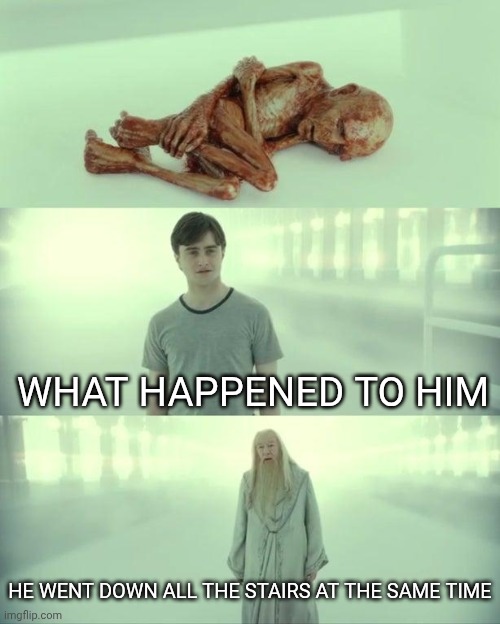 Dead Baby Voldemort / What Happened To Him | WHAT HAPPENED TO HIM HE WENT DOWN ALL THE STAIRS AT THE SAME TIME | image tagged in dead baby voldemort / what happened to him | made w/ Imgflip meme maker