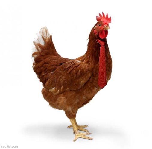 Hentai | image tagged in chicken | made w/ Imgflip meme maker