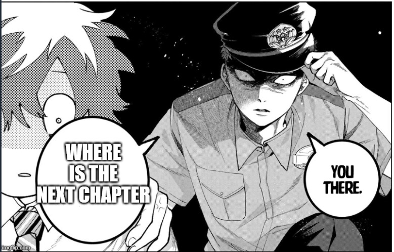 where is the next chapter?? | WHERE IS THE NEXT CHAPTER | image tagged in memes | made w/ Imgflip meme maker