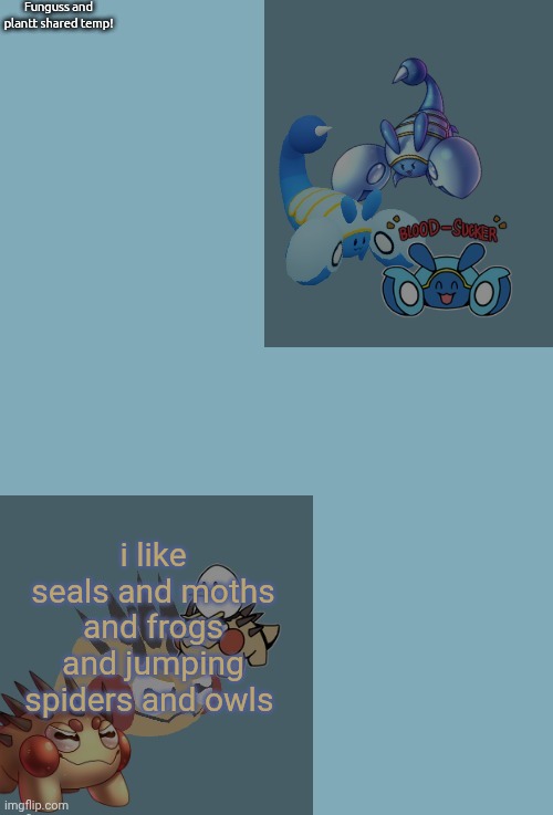 Funguss and plantt shared announcement temp (funguss edition!!!1 | i like seals and moths and frogs and jumping spiders and owls | image tagged in funguss and plantt shared announcement temp funguss edition 1 | made w/ Imgflip meme maker