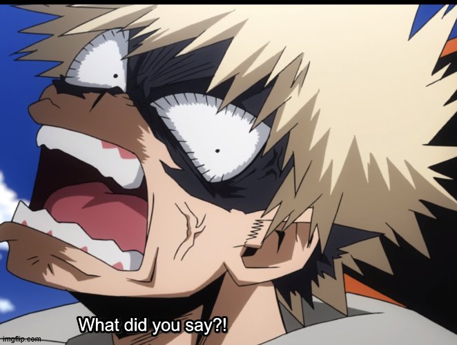 Bakugo's What did you say?! | image tagged in bakugo's what did you say | made w/ Imgflip meme maker