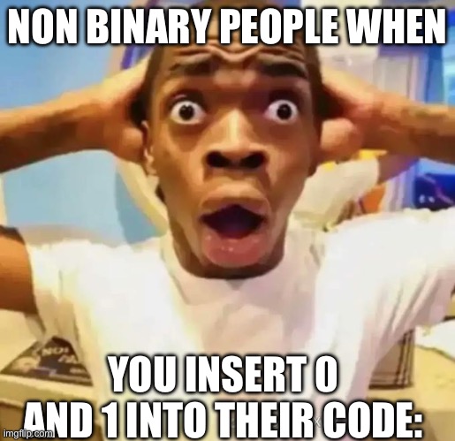 Ps: i dont mean any hate for yall, happy pride month?️‍? | NON BINARY PEOPLE WHEN; YOU INSERT 0 AND 1 INTO THEIR CODE: | image tagged in shocked black guy,non binary,it | made w/ Imgflip meme maker