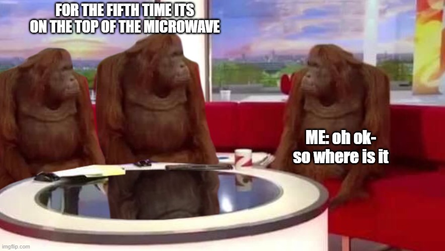monke | FOR THE FIFTH TIME ITS ON THE TOP OF THE MICROWAVE; ME: oh ok- so where is it | image tagged in where monkey | made w/ Imgflip meme maker