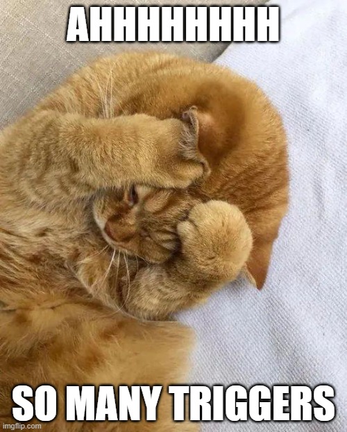 cat in distress | AHHHHHHHH; SO MANY TRIGGERS | image tagged in stress,cat,cats,mtg,memes | made w/ Imgflip meme maker