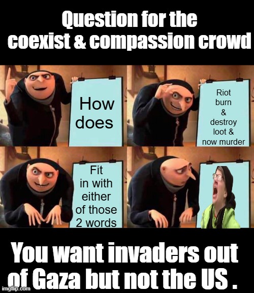 Simple question 75% of America wants illegals deported | Question for the coexist & compassion crowd; Riot burn & destroy loot & now murder; How does; Fit in with either of those 2 words; You want invaders out of Gaza but not the US . | image tagged in memes,gru's plan | made w/ Imgflip meme maker